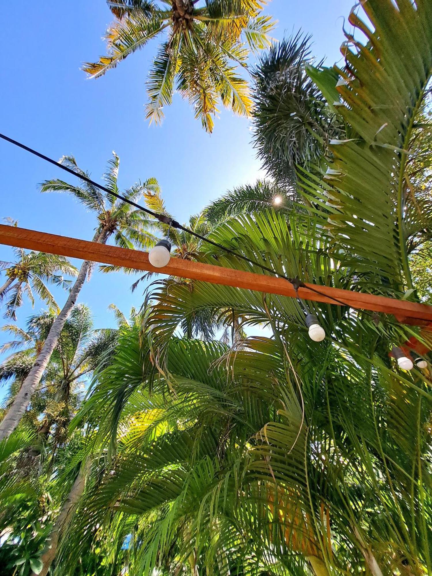 Eden Eco Resort غيلي تراوانغان المظهر الخارجي الصورة